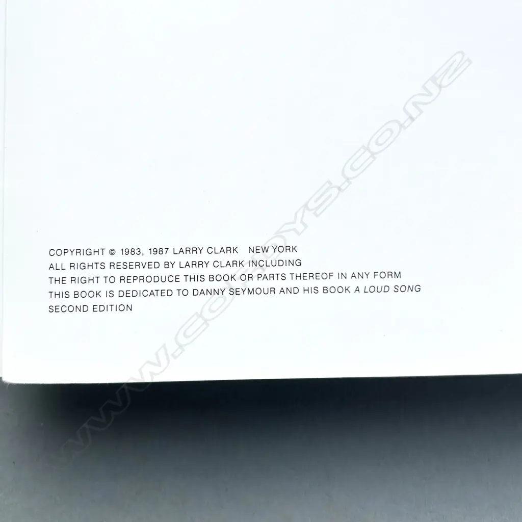 LARRY CLARK: TEENAGE LUST Image 1++